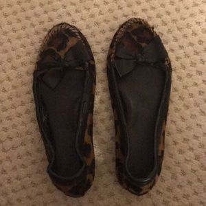 Bollo flats